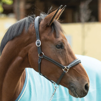 Capezza in cuoio Oxer PARIANI PROMO