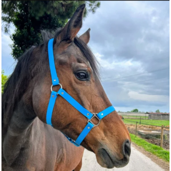 Capezza Mint Breeze SPARKLE UNICORN