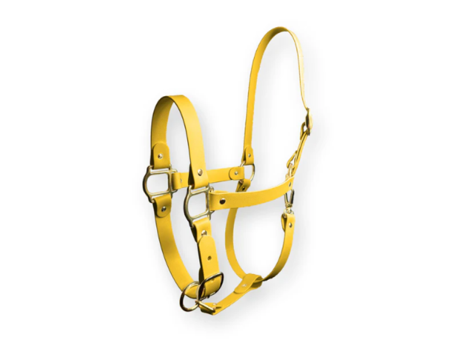 Capezza Sunflower Yellow SPARKLE UNICORN