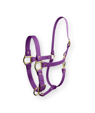 Capezza Violet Vibe SPARKLE UNICORN