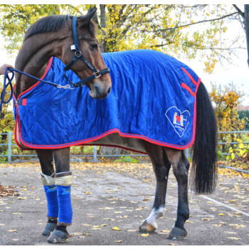 Coperta da concorso in bio-ceramica “COLLINUS” LOVEHORSES