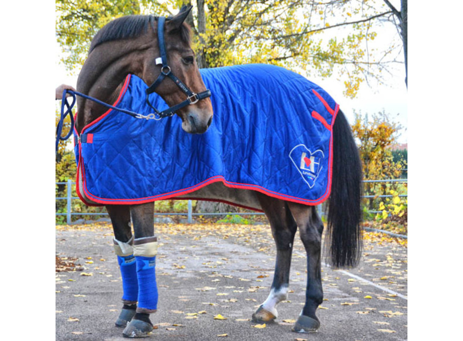 Coperta da concorso in bio-ceramica “COLLINUS” LOVEHORSES
