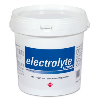 Electrolyte Horse 3 kg FM ITALIA 