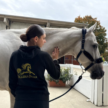 Felpa Unisex "Selleria Pigna"