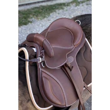 GUY CANTIN Evolution Educative Saddle