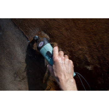 LISTER Star Clipper with Bag