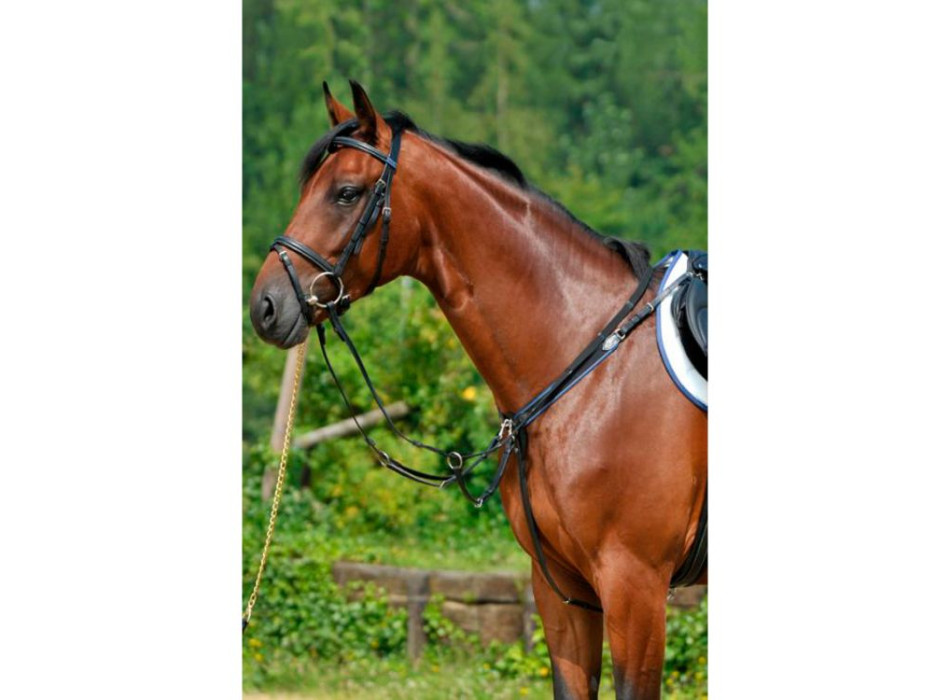 Pettorale con elastico e attacco scorrevole