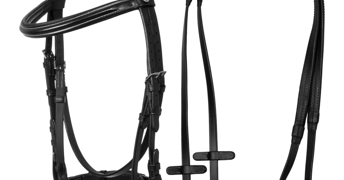 Cavezza Cavallo In Pelle Aces Equine - Imbottita Con Raccordi In Ottone - Foto 2